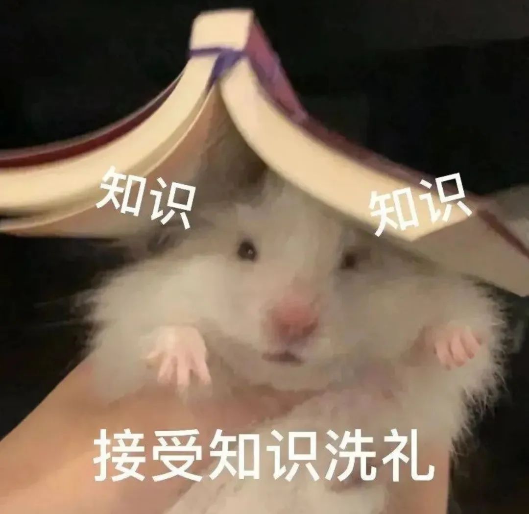 山东专升本培训--中享专升本