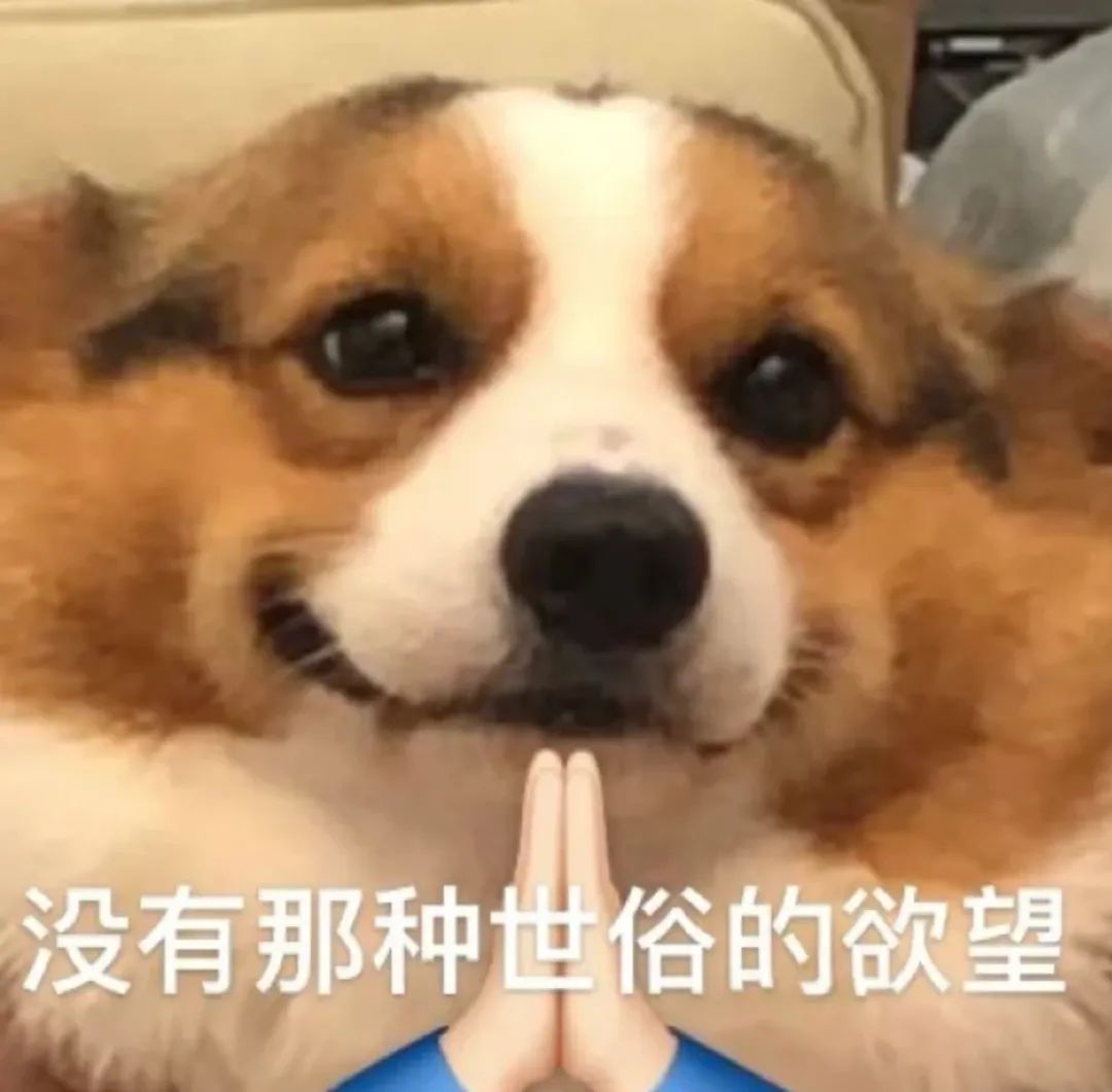 山东专升本培训--中享专升本