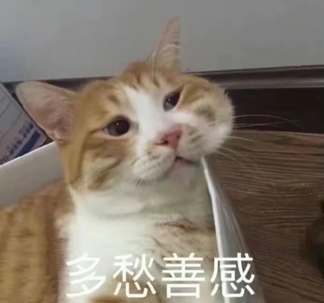 山东专升本培训--中享专升本